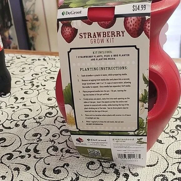 Strawberry Grow Kit - Red - Picture 3 of 6